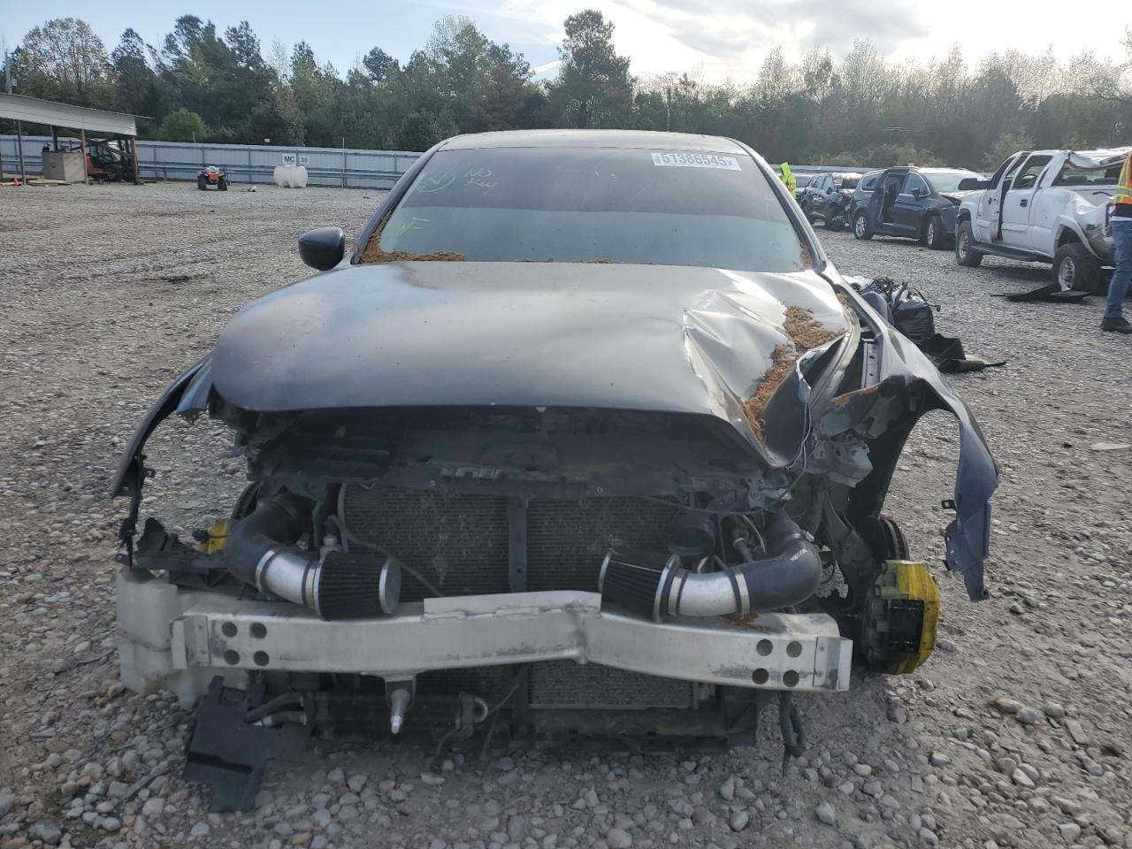 Global Auto Auctions