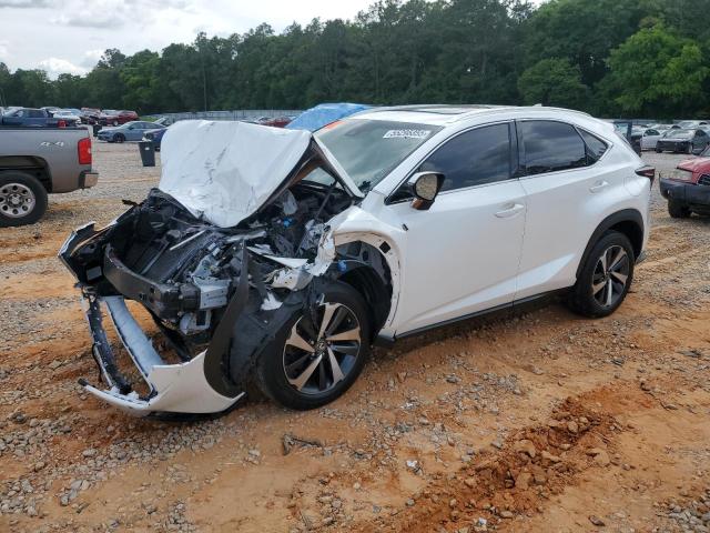 Vin: jtjyarbz9k2150855, lot: 55296355, lexus nx 300 base 2019 img_1