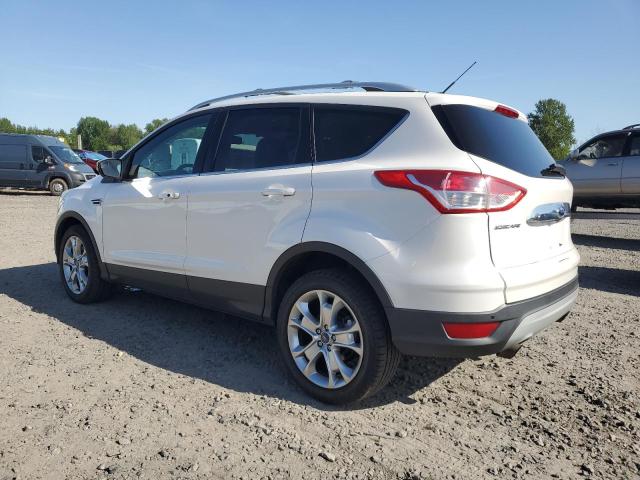 FORD ESCAPE TIT 2014 white  Gasoline 1FMCU9JX5EUB98765 photo #3