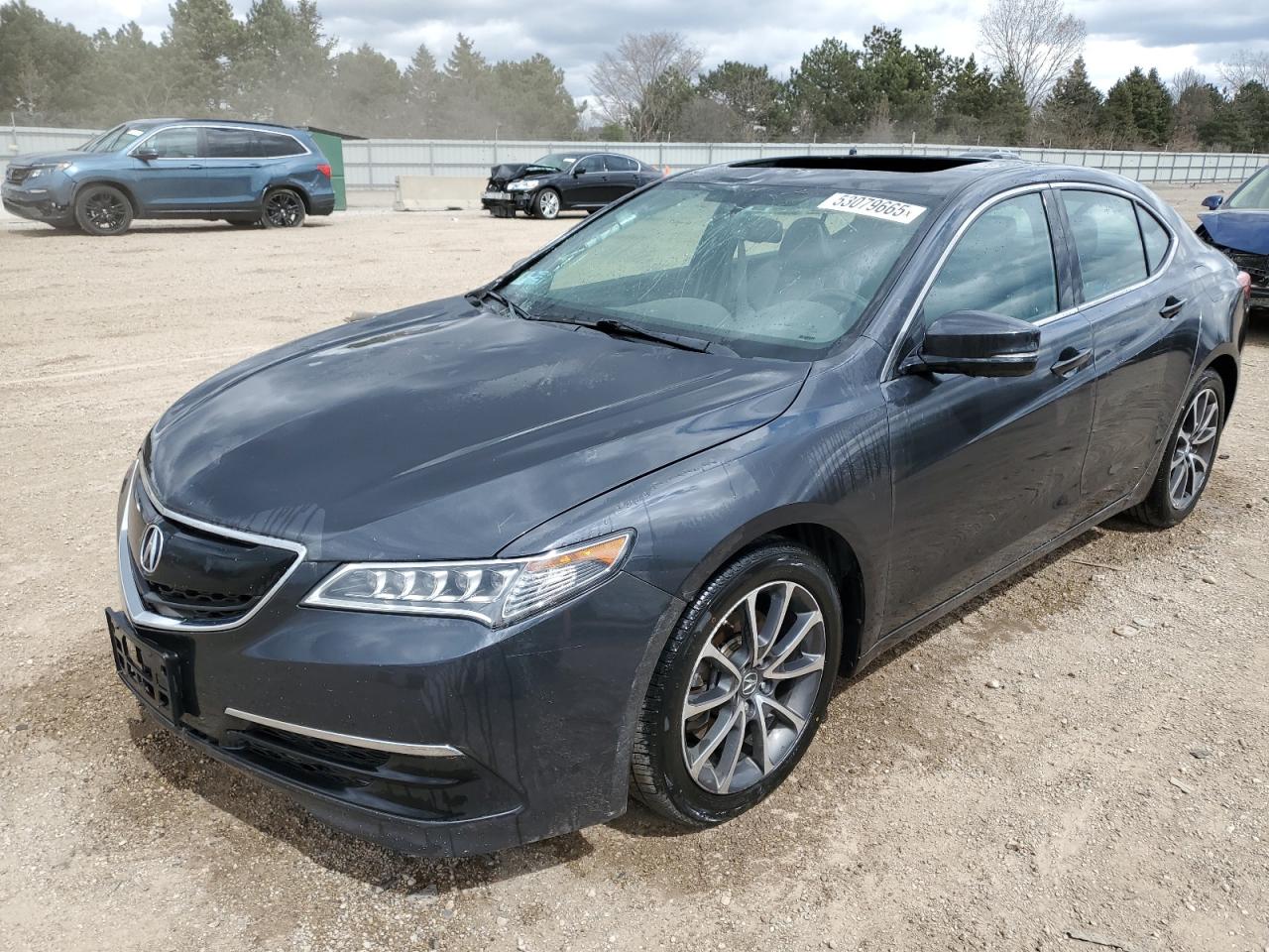 ACURA TLX