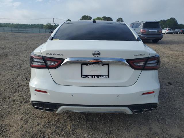 2023 NISSAN MAXIMA PLA 1N4AA6FV3PC507173
