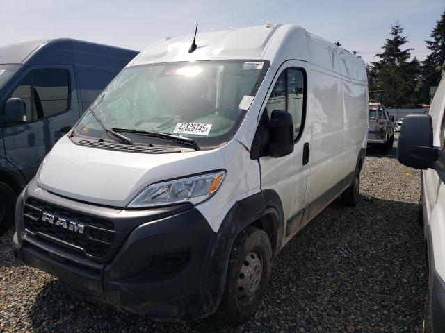 RAM PROMASTER
