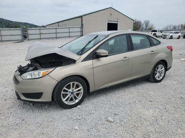 Vin: 1fadp3f20gl267077, lot: 53649665, ford focus se 2016 img_1