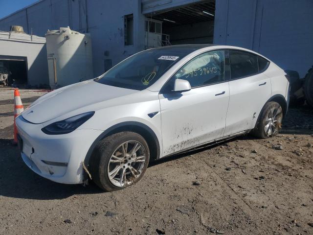 2023 TESLA MODEL Y #3148279890