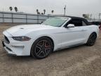 2019 FORD MUSTANG - 1FATP8UHXK5171051