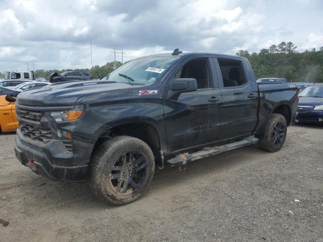 Vin: 3gcudce86rg359836, lot: 54932715, chevrolet all models k1500 trail boss custom 2024 img_1