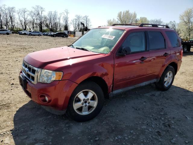 Vin: 1fmcu0dg5cka32617, lot: 51119835, ford escape xlt 2012 img_1
