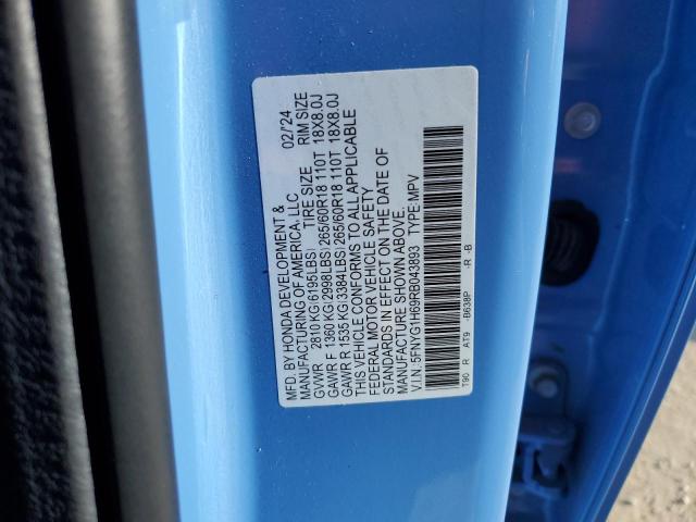 2024 HONDA PILOT TRAI 5FNYG1H69RB043893