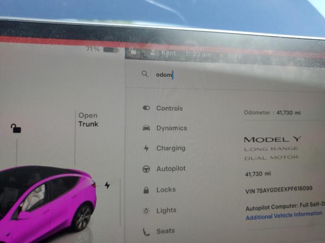 2023 TESLA MODEL Y - 7SAYGDEEXPF616099