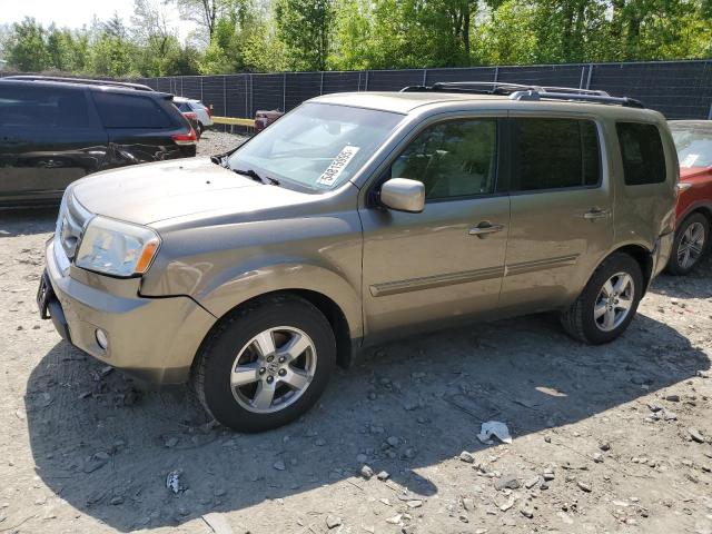 Vin: 5fnyf4h74bb104585, lot: 54815995, honda pilot exln 2011 img_1