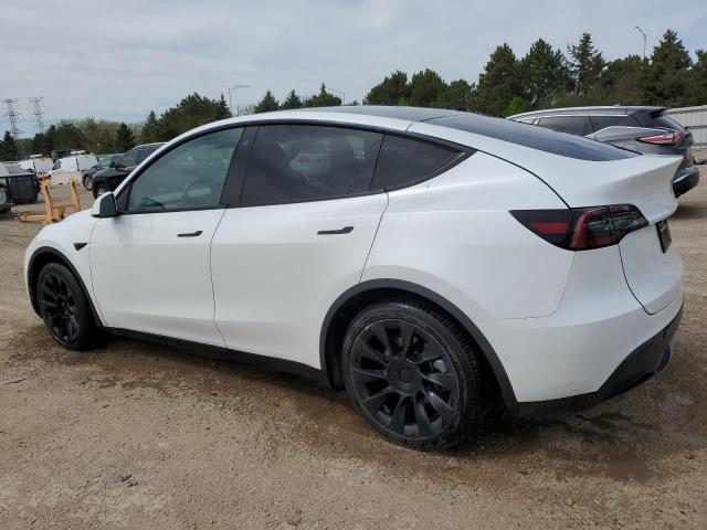 Vin: 5yjygdee8mf233884, lot: 54897835, tesla model y 20212