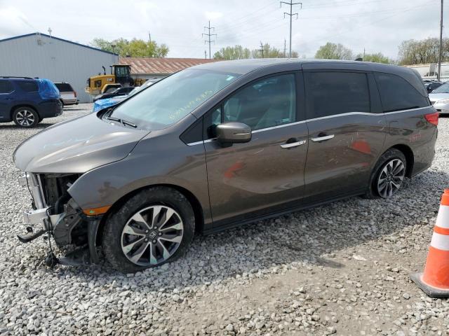 HONDA ODYSSEY EX 2023 tan  gas 5FNRL6H67PB032031 photo #1