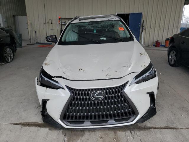 2025 LEXUS NX 250 PRE JTJGDCAZ4S2015753