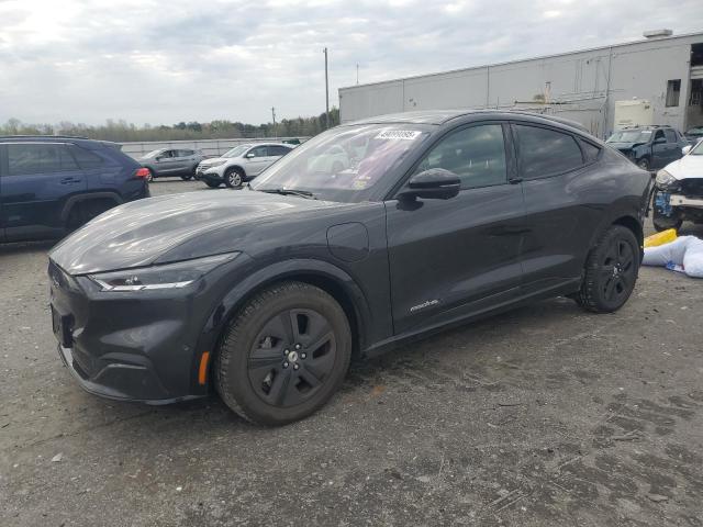 FORD MUSTANG MA