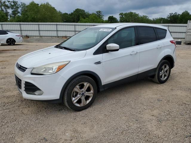 Vin: 1fmcu0gx7dub95853, lot: 53971345, ford escape se 2013 img_1