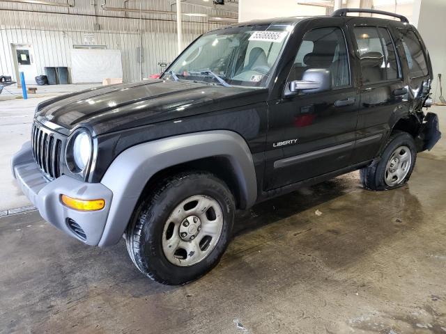 JEEP LIBERTY SP