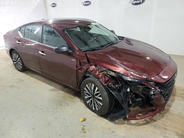 Vin: 1n4bl4dv0rn309518, lot: 54447465, nissan altima sv 20244