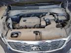Lot #3302985599 2020 KIA SORENTO L