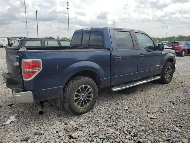Vin: 1ftfw1ct2dfc63436, lot: 55115965, ford f-150 supercrew 20133