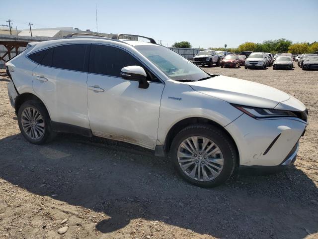 2021 TOYOTA VENZA LE - JTEAAAAHXMJ003916