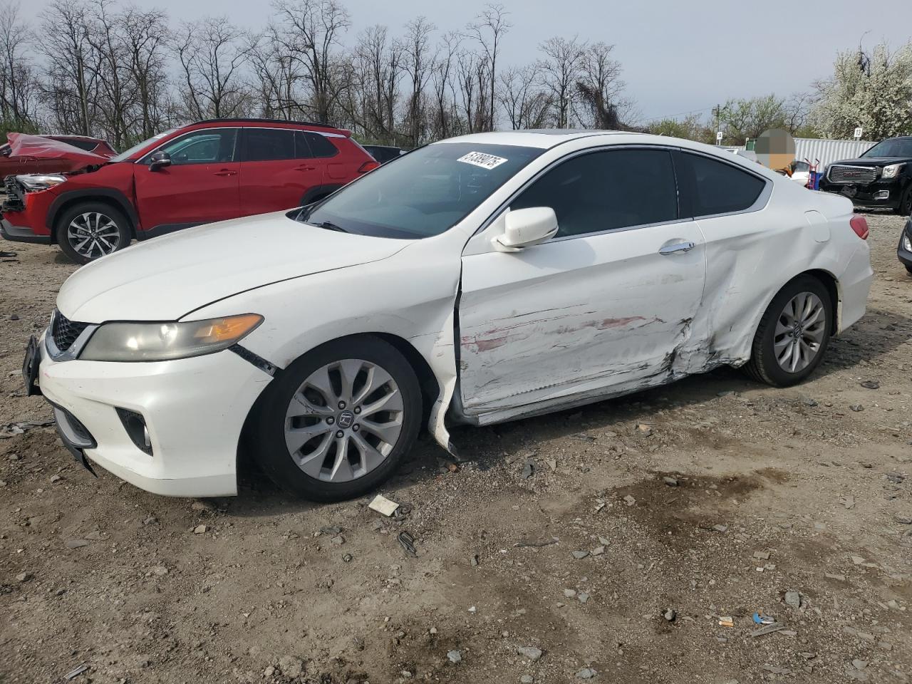 HONDA ACCORD EXL