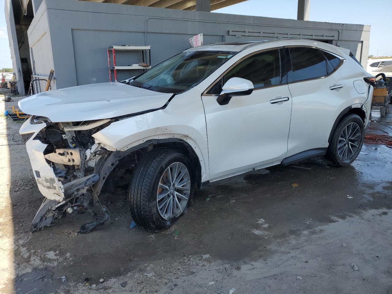 LEXUS NX 250 PREMIUM