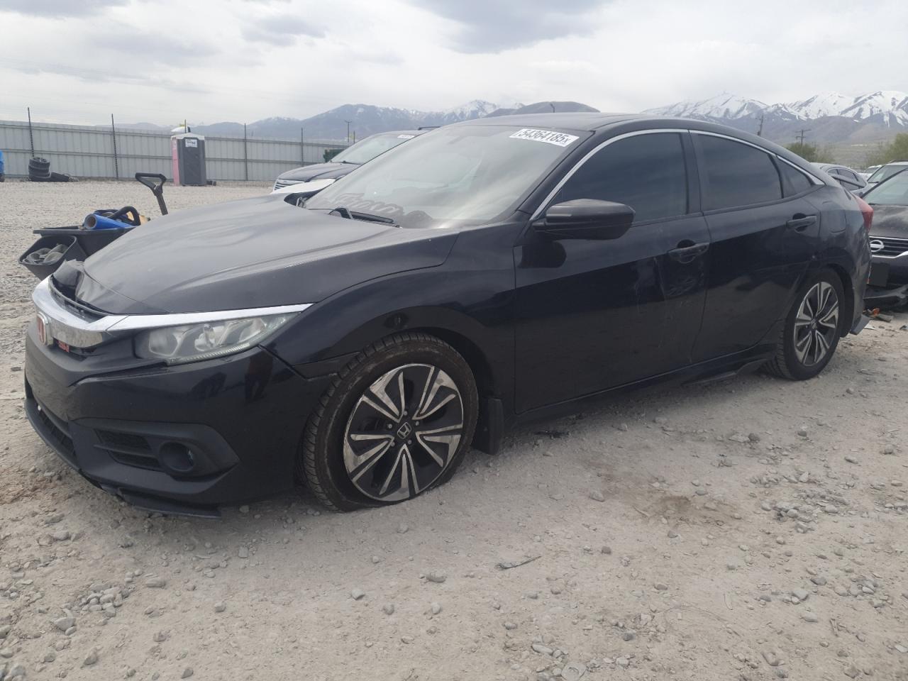 Global Auto Auctions