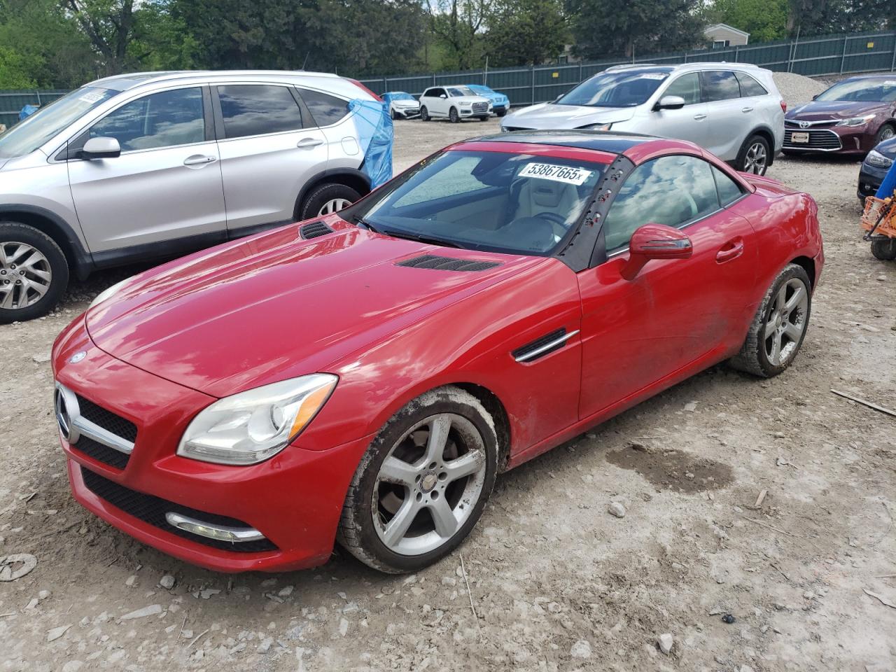 MERCEDES-BENZ SLK-CLASS 250