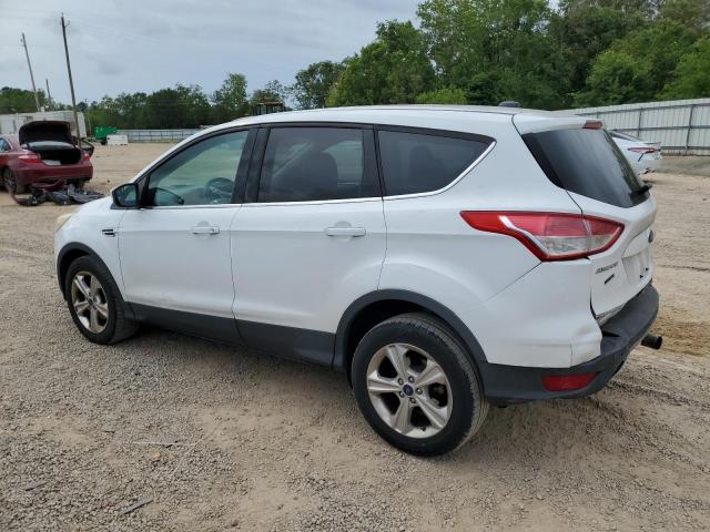 Vin: 1fmcu0gx7dub95853, lot: 53971345, ford escape se 20132
