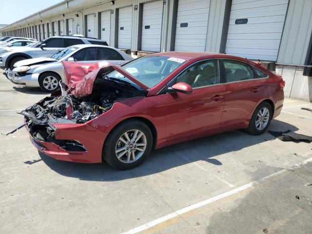 Vin: 5npe24af4gh300647, lot: 53725415, hyundai sonata se 2016 img_1