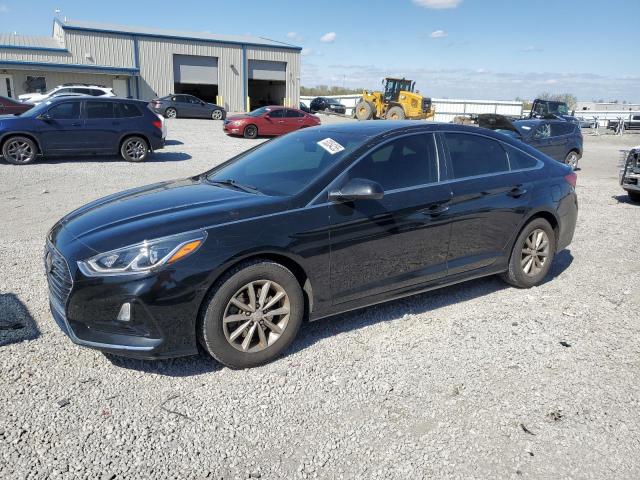 Vin: 5npe24af5kh819151, lot: 53354255, hyundai sonata se 2019 img_1