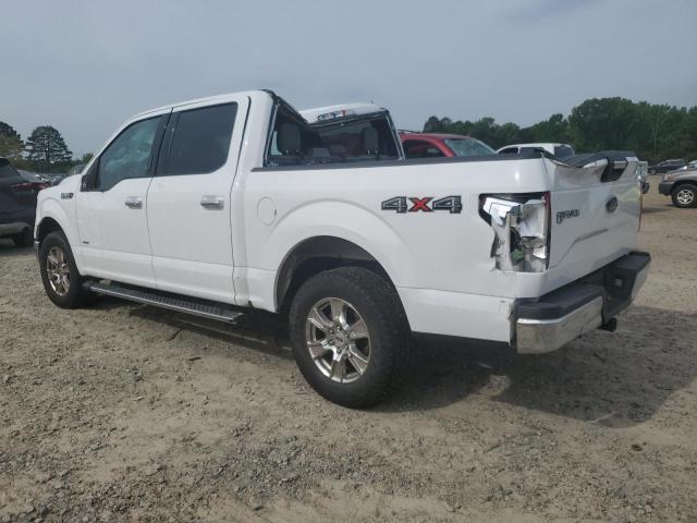 Vin: 1ftew1ep4gkd21649, lot: 53942025, ford f-150 supercrew 20162