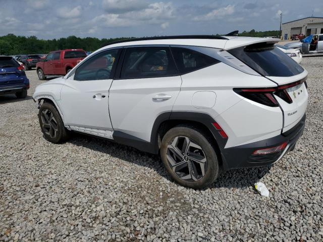 Vin: 5nmje3ae0ph255100, lot: 55281185, hyundai tucson limited 20232