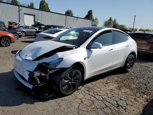 Vin: 7saygdee3sf259602, lot: 54441265, tesla model y 2025 img_1