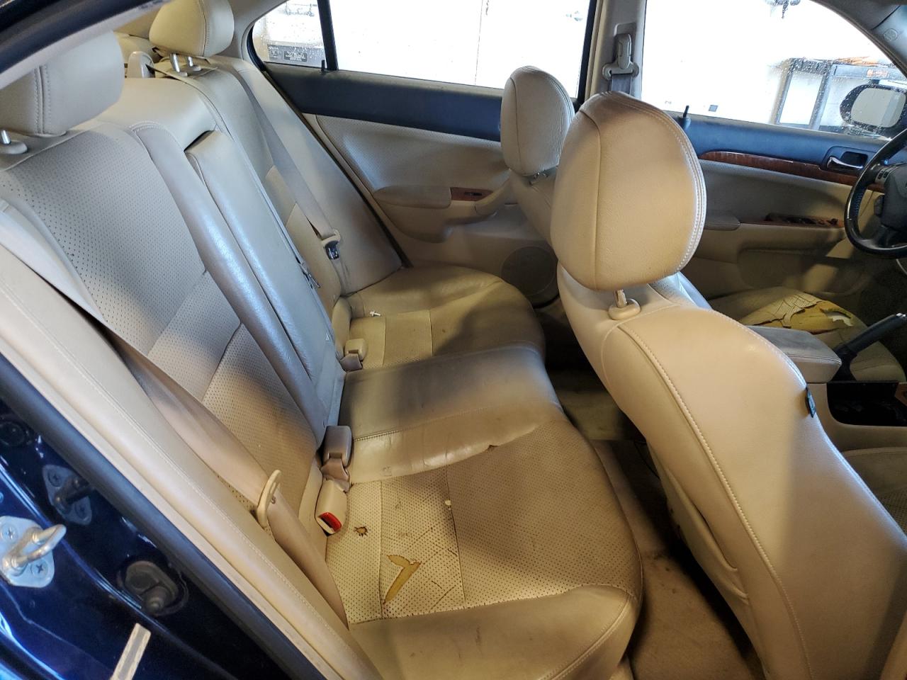 Lot #3311463238 2006 ACURA TSX