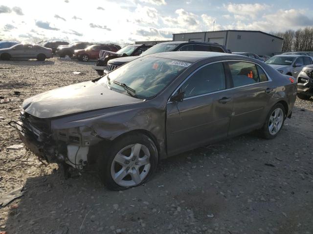 Vin: 1g1zb5e04cf217942, lot: 51637475, chevrolet malibu ls 2012 img_1