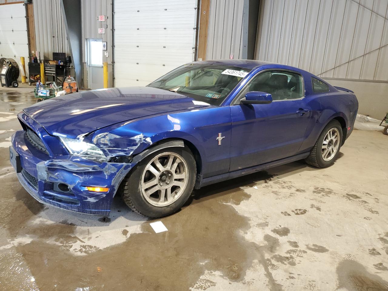 FORD MUSTANG
