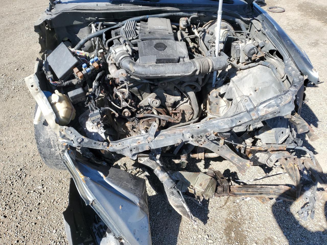 Lot #3206635508 2005 NISSAN PATHFINDER