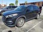 2016 HYUNDAI TUCSON LIM - KM8J33A49GU237258