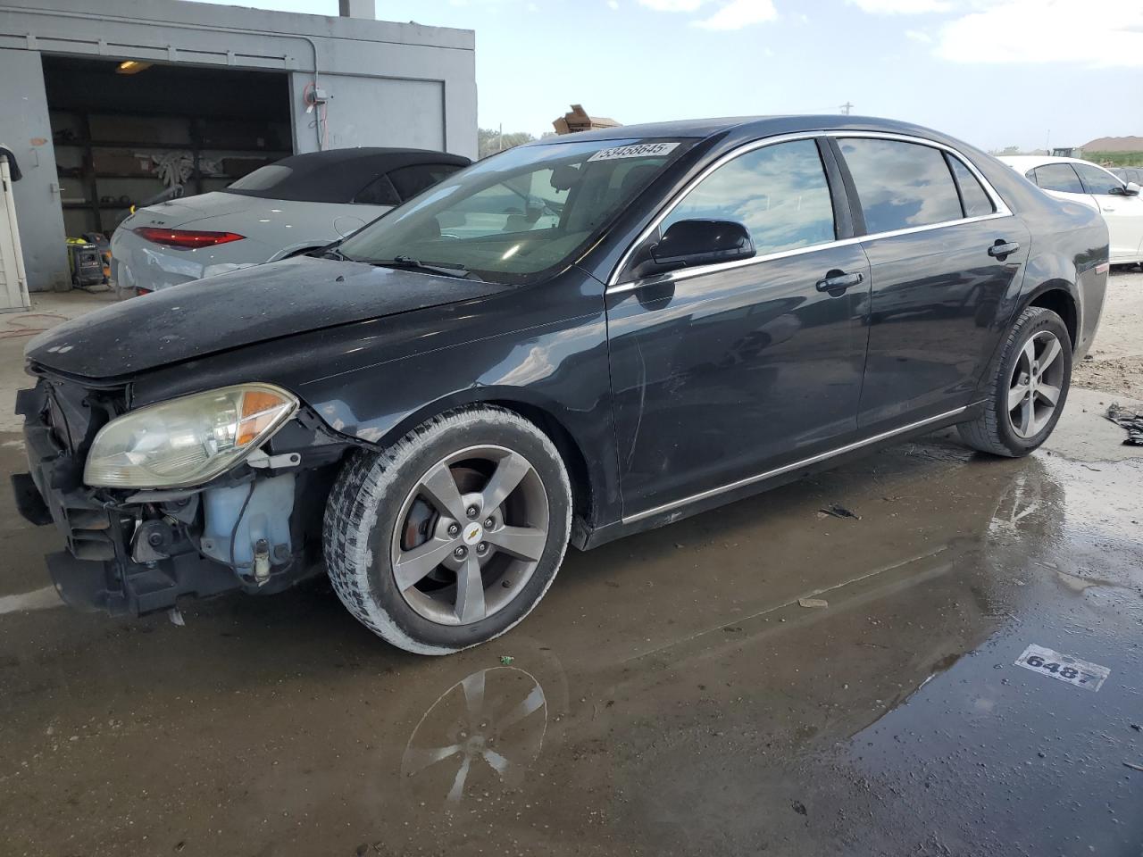 CHEVROLET MALIBU 1LT