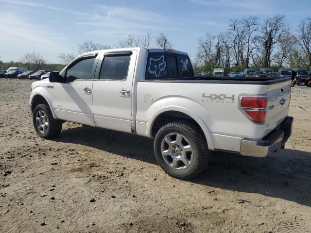 Vin: 1ftfw1et7dfb36050, lot: 53604515, ford f-150 supercrew 20132