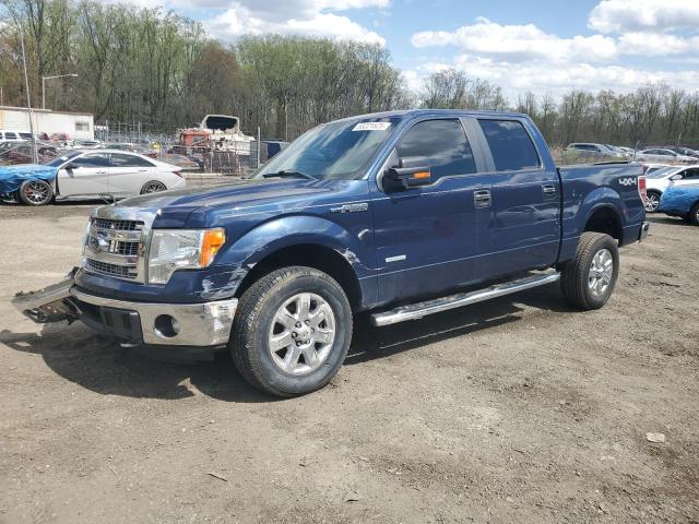 Vin: 1ftfw1et4dfd29658, lot: 53221525, ford f-150 supercrew 2013 img_1