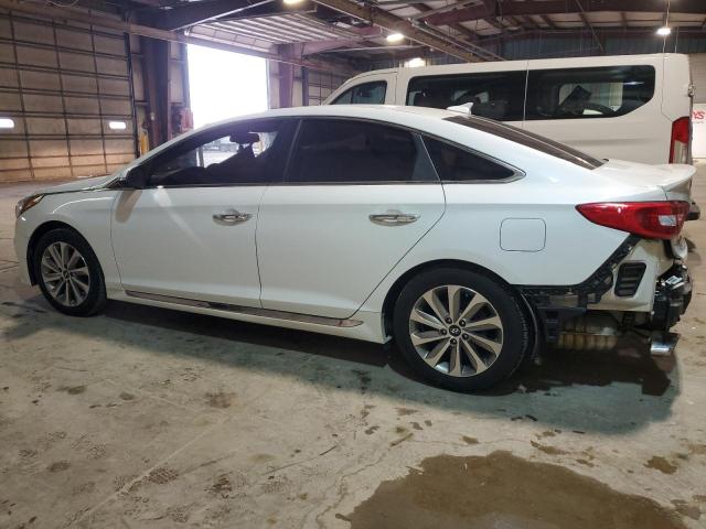 2017 HYUNDAI SONATA SPO - 5NPE34AF3HH575702