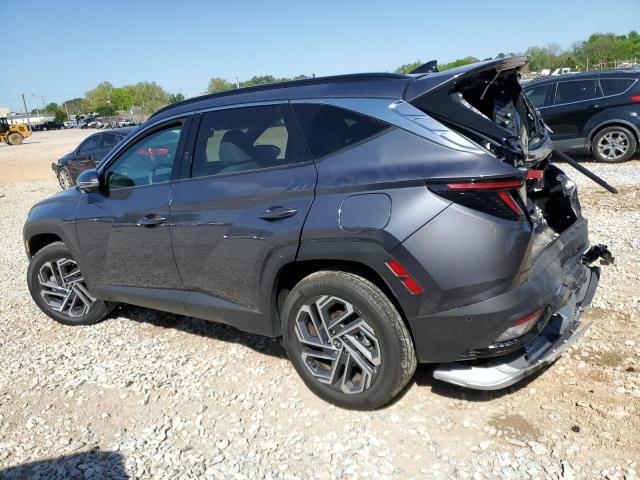 Vin: km8jedd13su268631, lot: 53571715, hyundai tucson limited 20252