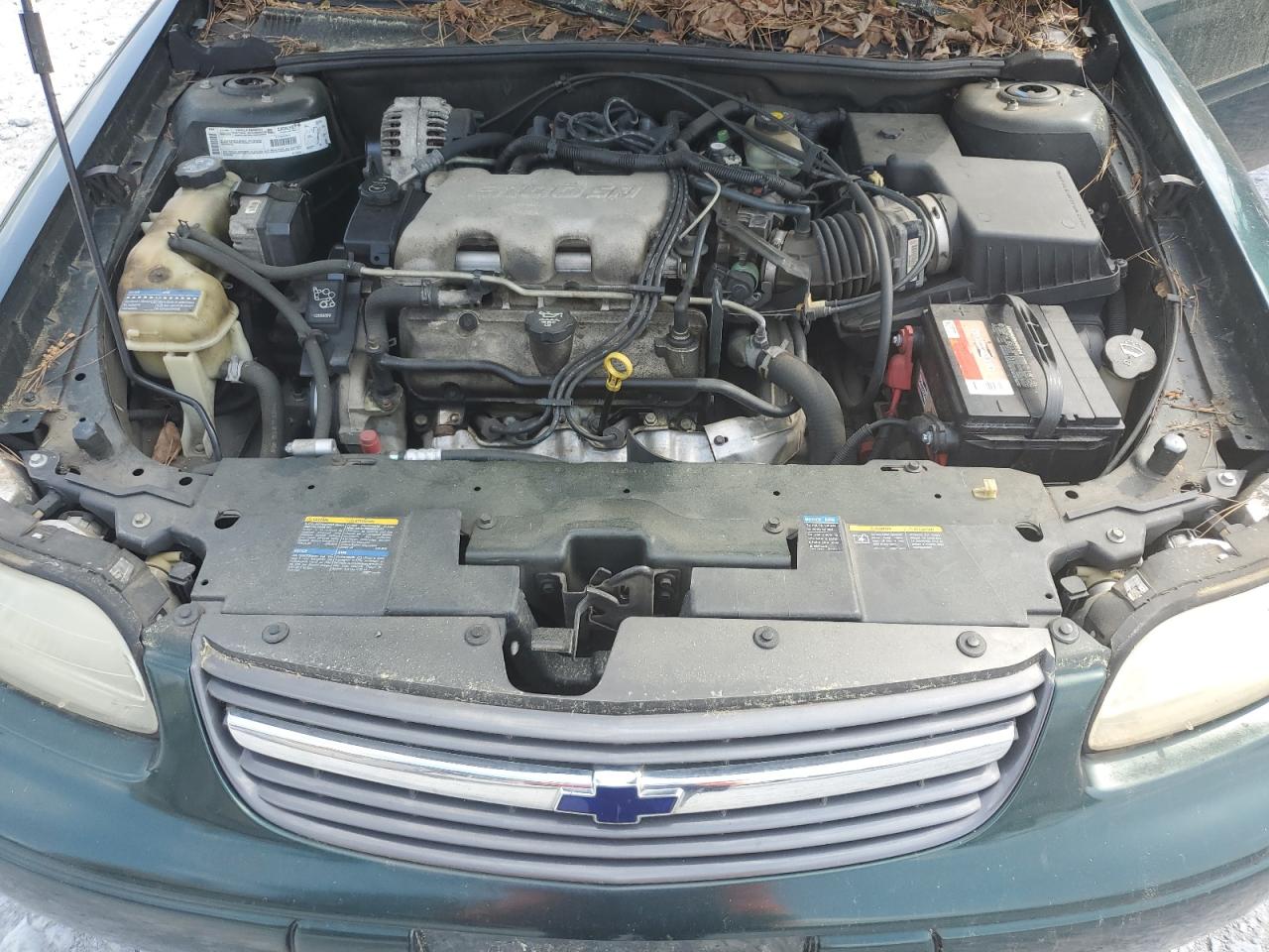 Lot #3318971986 2003 CHEVROLET MALIBU