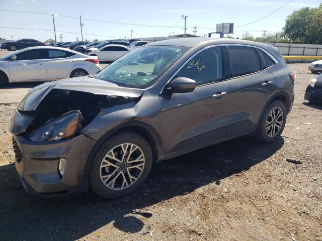 Global Auto Auctions: 2022 FORD ESCAPE SEL