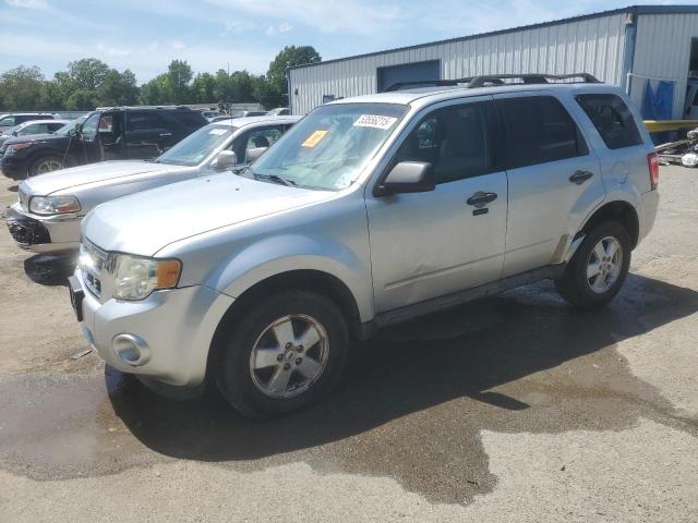 Vin: 1fmcu0d77bkb43975, lot: 53556215, ford escape xlt 2011 img_1