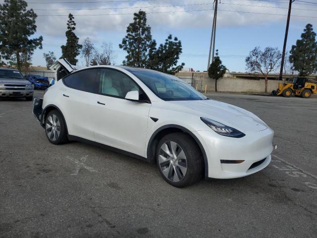 Vin: 5yjygdeexmf075600, lot: 51648545, tesla model y 20214