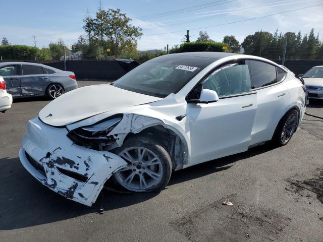 Vin: 5yjygaee1mf305491, lot: 54272655, tesla model y 2021 img_1