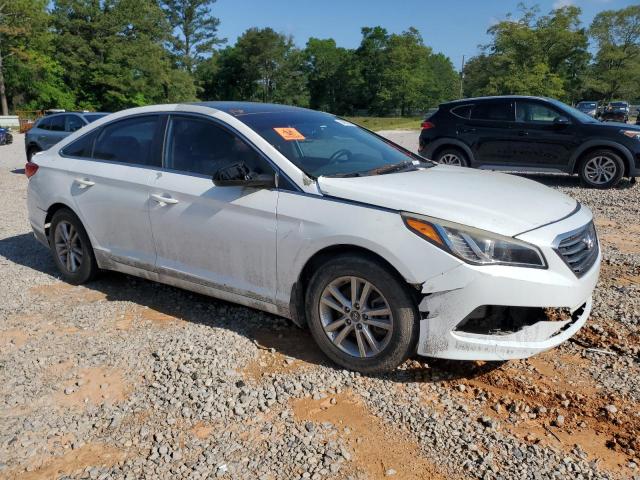 Vin: 5npe24af8gh419303, lot: 54920955, hyundai sonata se 20164